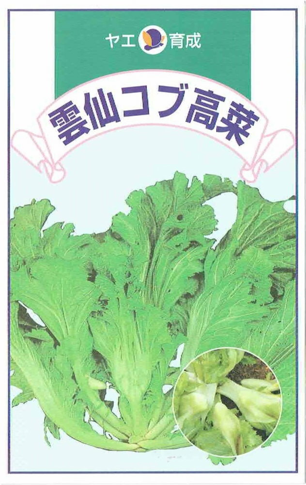 八江農芸　「雲仙コブ高菜」のタネ　8mlのサムネイル
