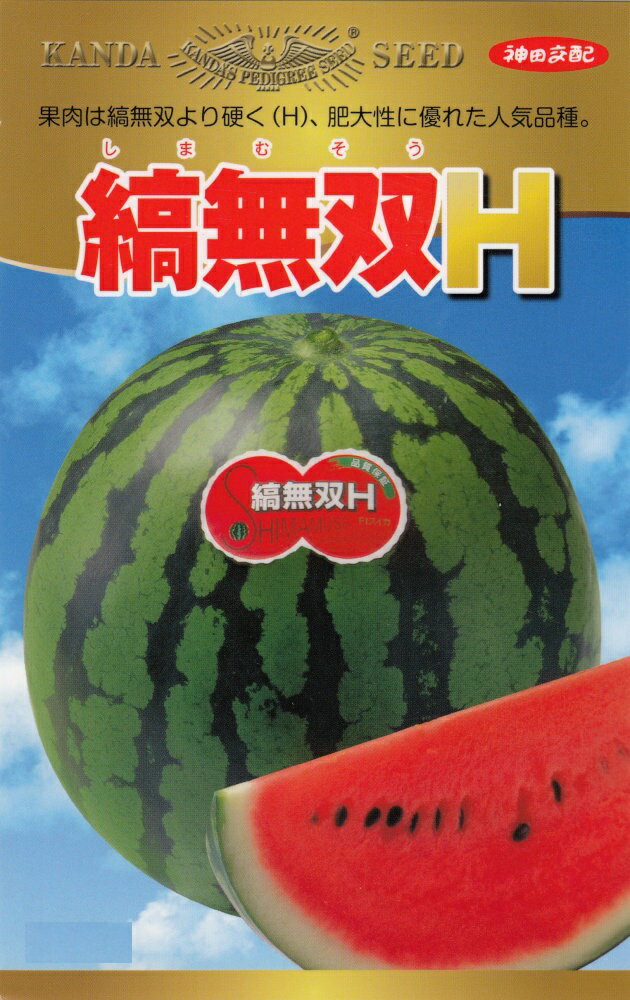 神田育種農場「スイカ 縞無双H」のタネ　[内容量：約11粒]