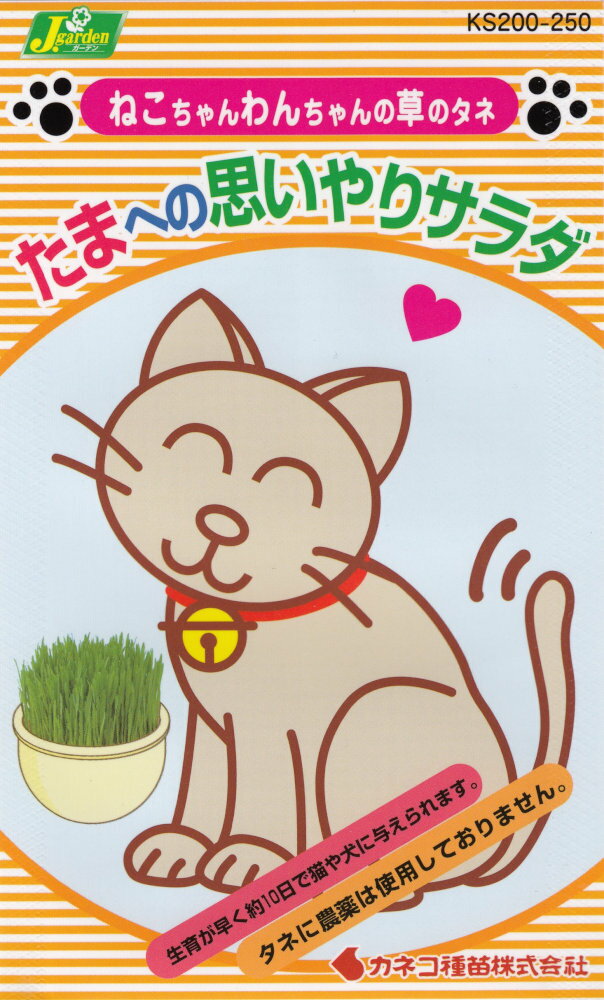 カネコ種苗「ペット用エンバク たまへの思いやりサラダ」のタネ　[内容量：30g]
