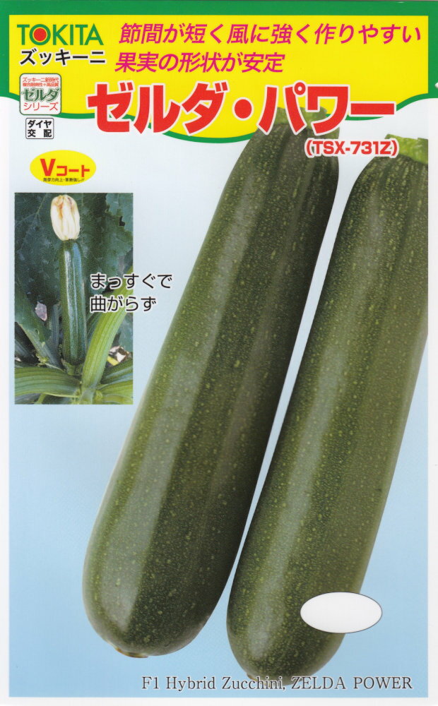 Ĥ㤨֥ȥġ֥å ѥפΥ͡[̡10γ]פβǤʤ429ߤˤʤޤ