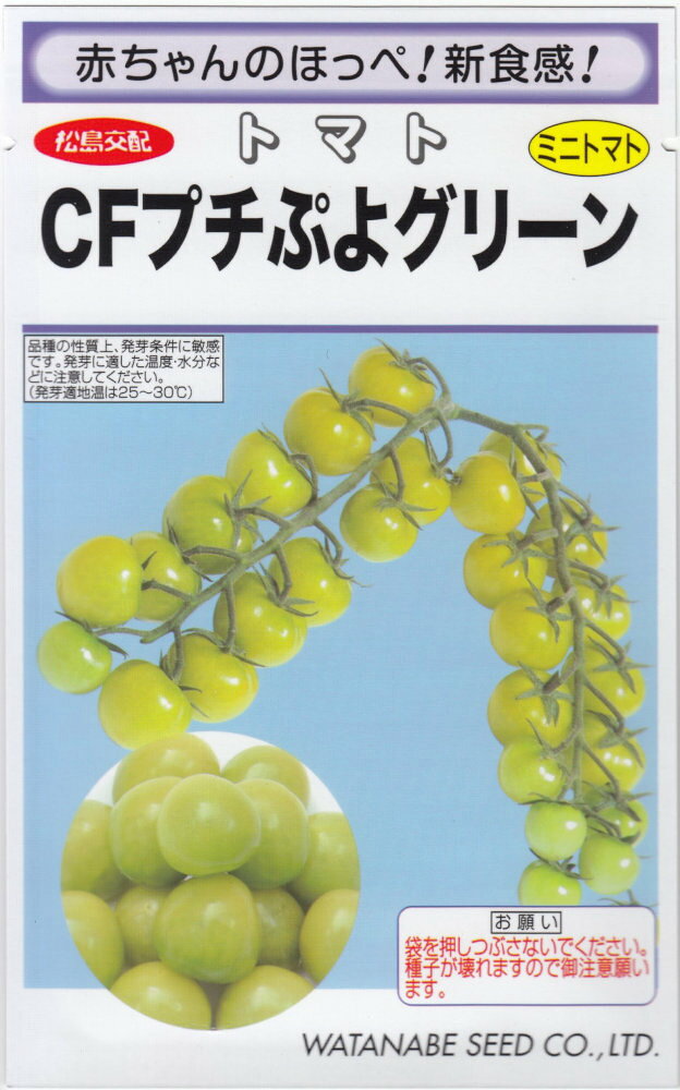 渡辺採種場「ミニトマト CFプチぷよグリーン」のタネ　[内容量:約100粒]