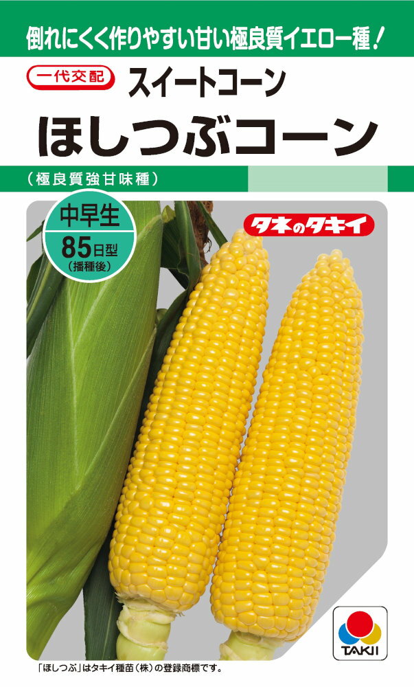 タキイ種苗「スイートコーン ほしつぶコーン」のタネ