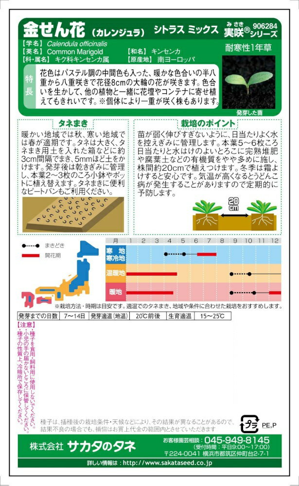 サカタのタネ「金せん花 シトラスミックス」のタネ　[内容量:3ml] 2