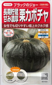 サカタのタネ「栗カボチャ ブラックのジョー」のタネ　[内容量:約6粒]