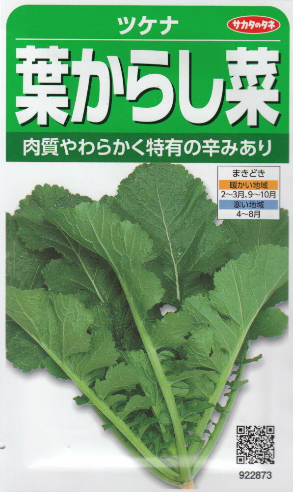 サカタのタネ「ツケナ 葉からし菜」のタネ　[内容量:10ml]