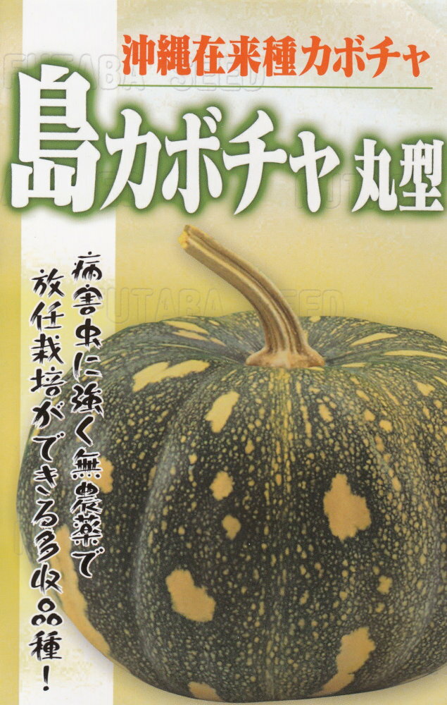 フタバ種苗「沖縄在来種カボチャ 島カボチャ 丸型」のタネ　[内容量：5ml]のサムネイル