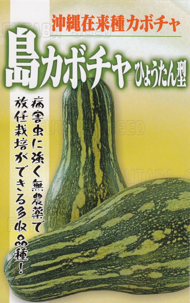 フタバ種苗「沖縄在来種カボチャ 島カボチャ ひょうたん型」のタネ　[内容量：5ml]のサムネイル