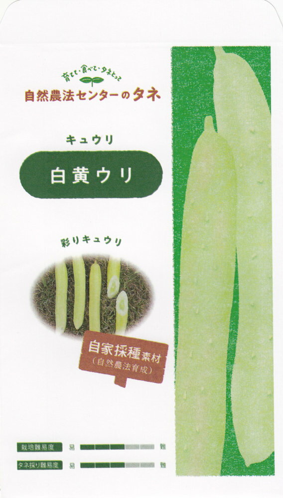 彩りキュウリ 自然農法センターキュウリ 白黄ウリ バングラデシュの在来種を素材に育成した黄白色のキュウリ。 草姿は枝成り型で、露地の普通まきに適する。 果肉が厚くタネの部分が淡緑色で、サラダや浅漬けにすると色が映える。 果実はやや短めで曲がり少なく、大きめで収穫しても果皮が柔らかく甘味があり、キュウリ臭さが少ない。 きゅうり,胡瓜,キュウリ,キュウリ