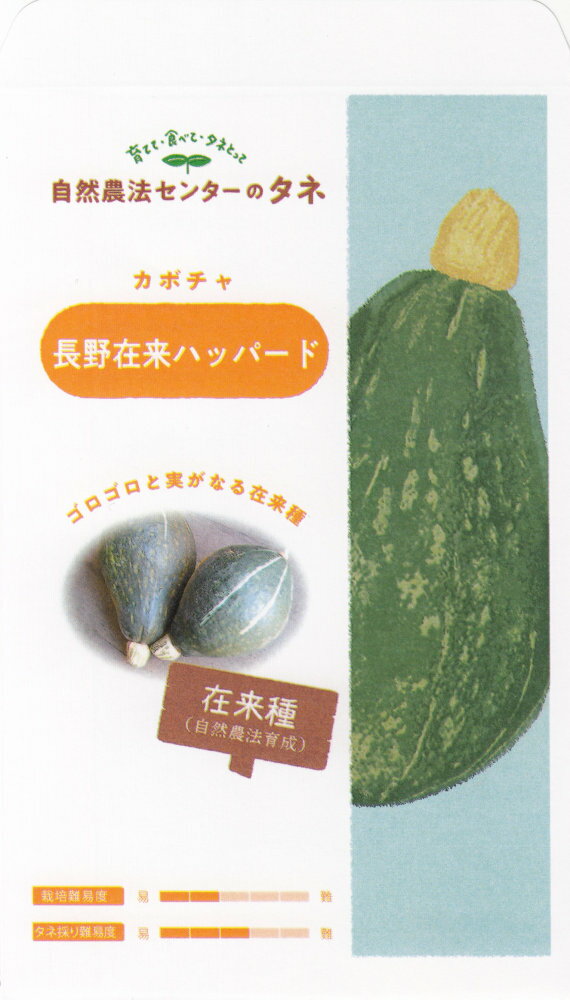 自然農法センター「カボチャ 長野在来ハッパード」のタネ　[内容量:約10粒]