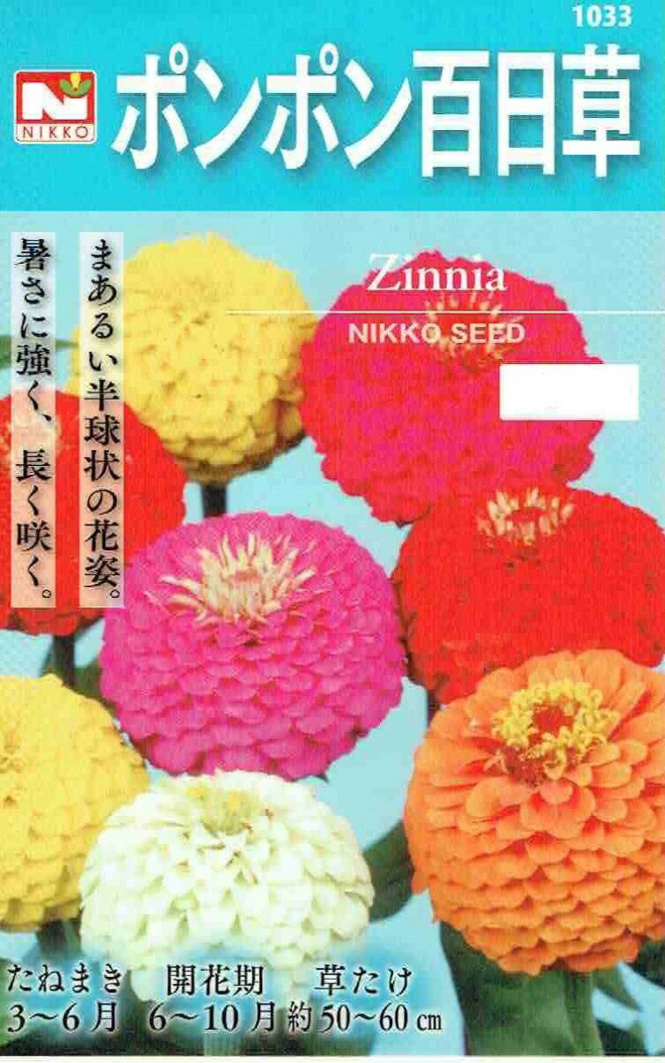 日光種苗　ポンポン百日草［内容量:100ml］【春】