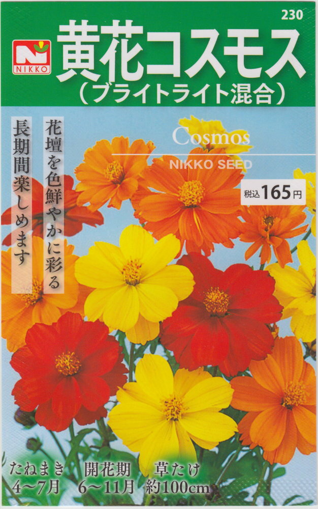 日光種苗　黄花コスモス（ブライトライト混合）のタネ［内容量:1.5ml］