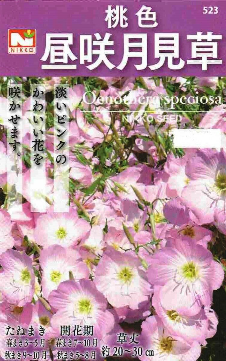 日光種苗　桃色昼咲月見草のタネ［内容量:100ml］【春・秋】