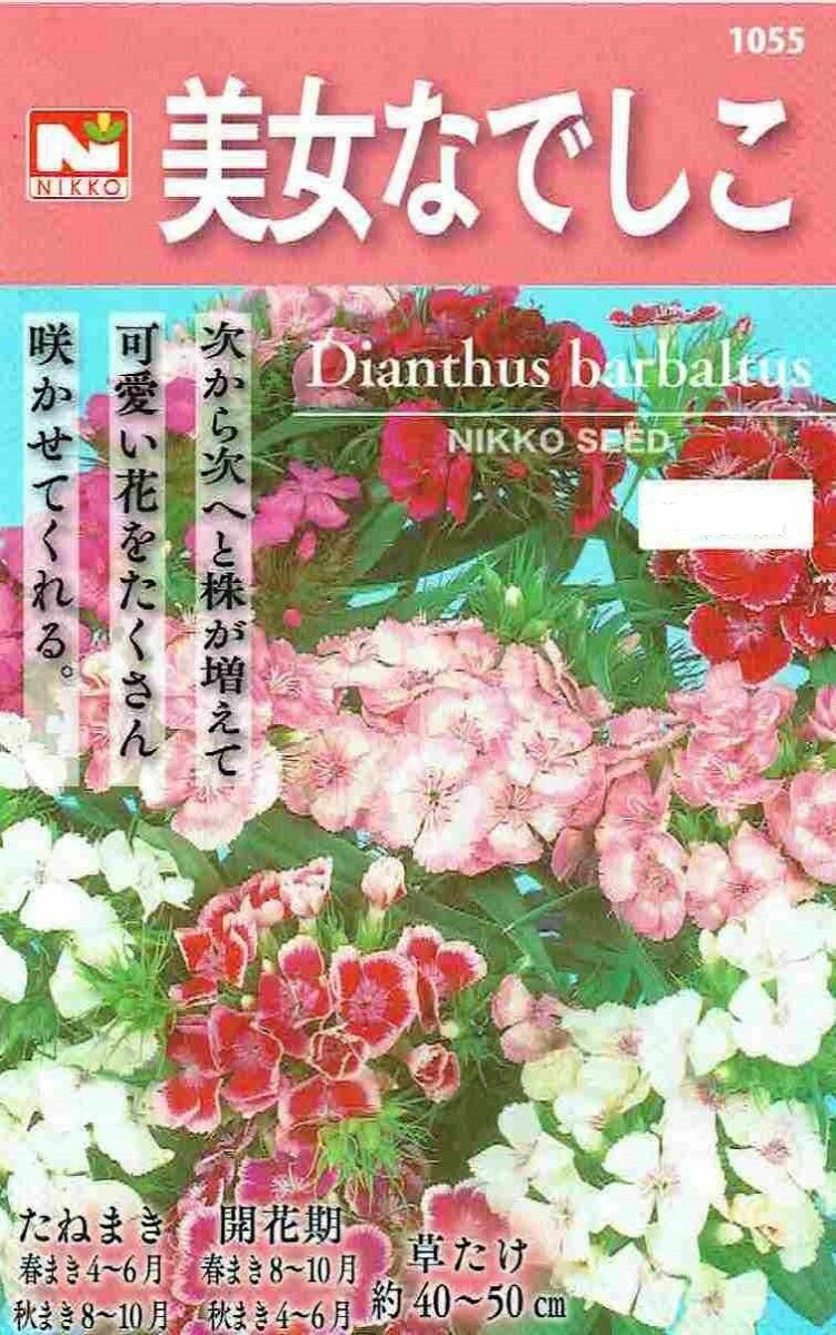 日光種苗　美女なでしこのタネ［内容量:1L］【春・秋】