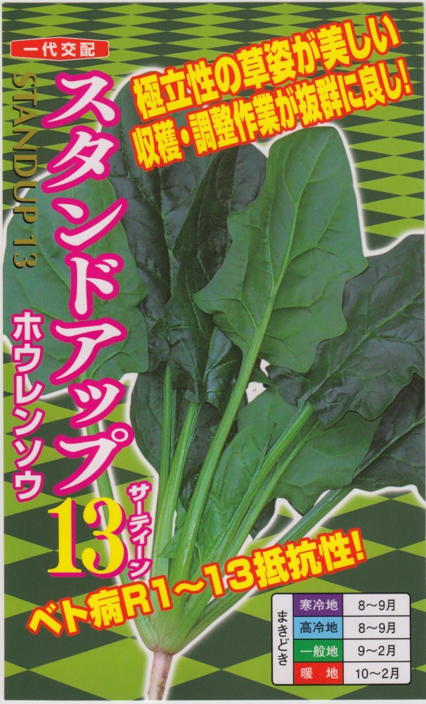 極立性の草姿が美しい 収穫・調整作業が抜群に良し！ ナント種苗 ホウレンソウ スタンドアップ13 品種の特徴 ベト病レース1~13抵抗性。 生育の早さは中程度だが、低温期でも停止せずじわじわ生育する。 草姿は極立性で葉色は濃い。葉肉厚く、軸も太い葉重型。 葉は平滑で軸折れも少なくしなやか、収穫調整作業が容易。 栽培のポイント 低温伸長性を持つ秋系種のため、春蒔きは徒長しやすく避けた方が無難。 ベト病には大変強い品種ですが、発生しづらい環境作りを心がける。 ホウレンソウ,ほうれんそう,ホウレンソウ,法蓮草,スタンドアップ13,すたんどあっぷ13,スタンドアップ13,すたんどあっぷ13