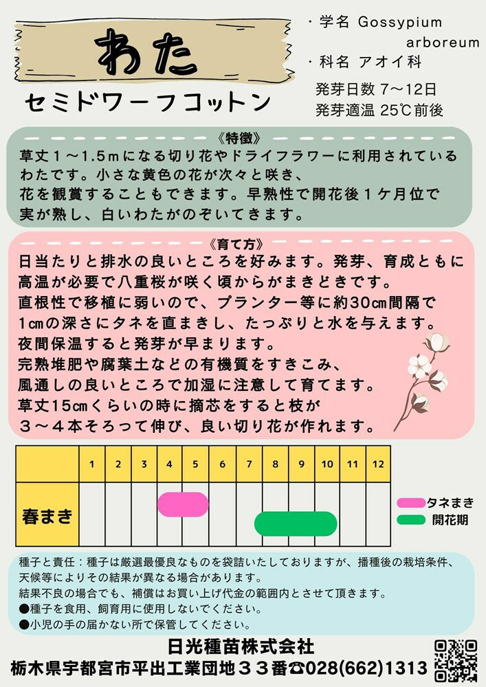 日光種苗 綿（わた） 「セミドワーフコットン」のタネ[内容量：10ml]