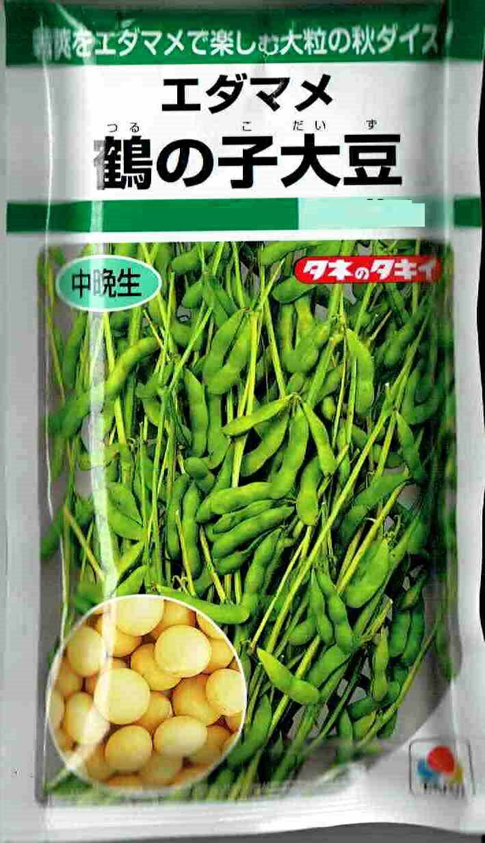 タキイ種苗　鶴の子大豆　60ml 【郵送対応】】