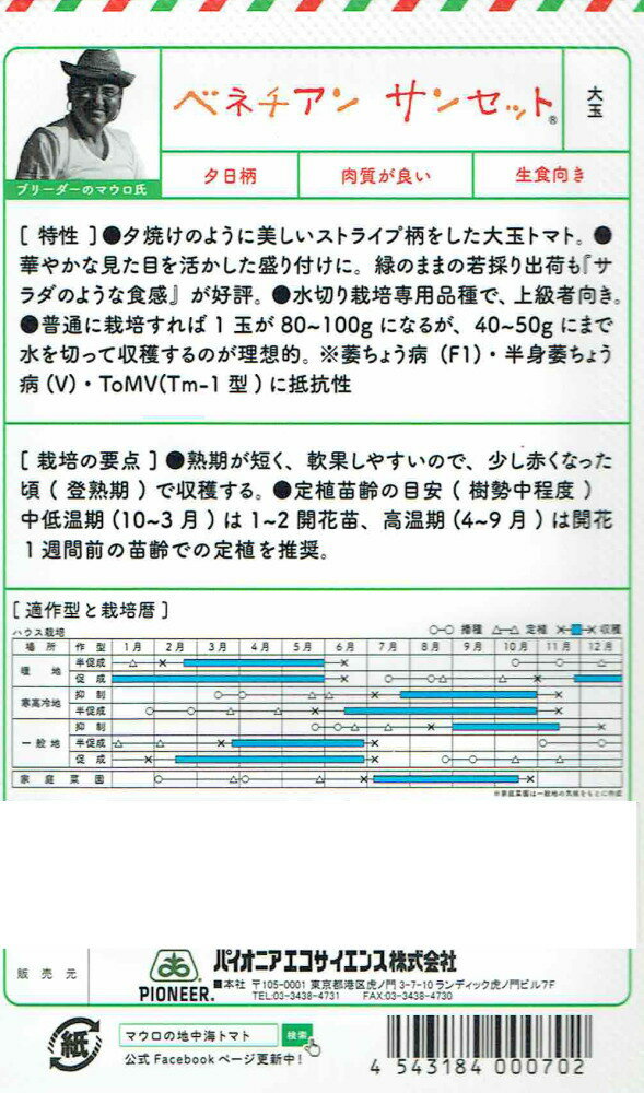 サナテックシード　マウロの地中海トマト　ベネチアンサンセットのタネ[内容量：約...
