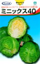 丸種 キャベツ ミニックス40 約70粒【郵送対応】