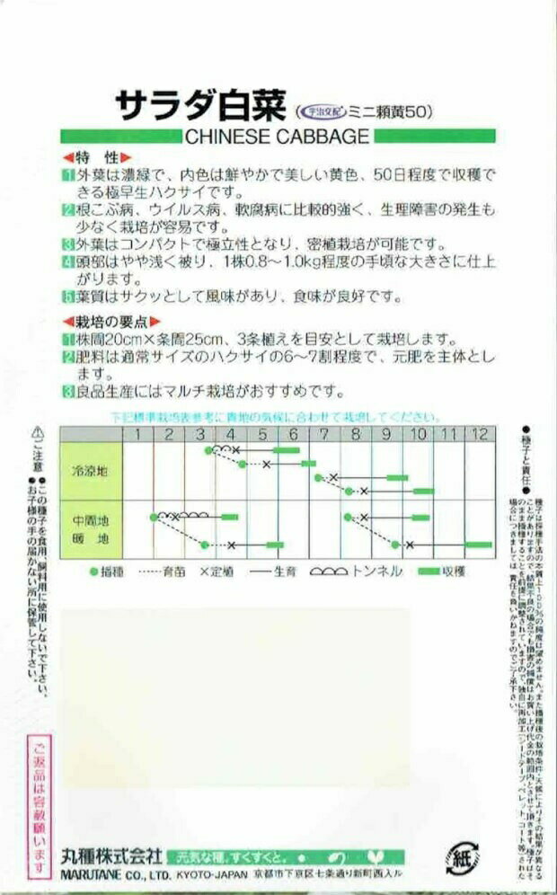 丸種 ハクサイ サラダ白菜　ミニ頼黄50　0.5ml