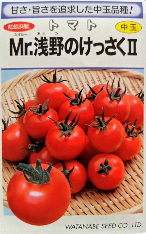 渡辺採種場 トマト Mr.浅野のけっさく2　約100粒 【郵送対応】