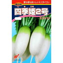 渡辺農事　ミニダイコン　四季姫2号　約170粒　