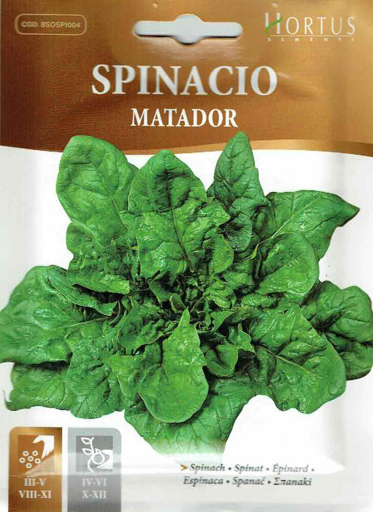【HORTUS社】ホウレンソウ・マタドール　Matador　15g　[5921][COD.BSOSPI004] 【郵送対応】