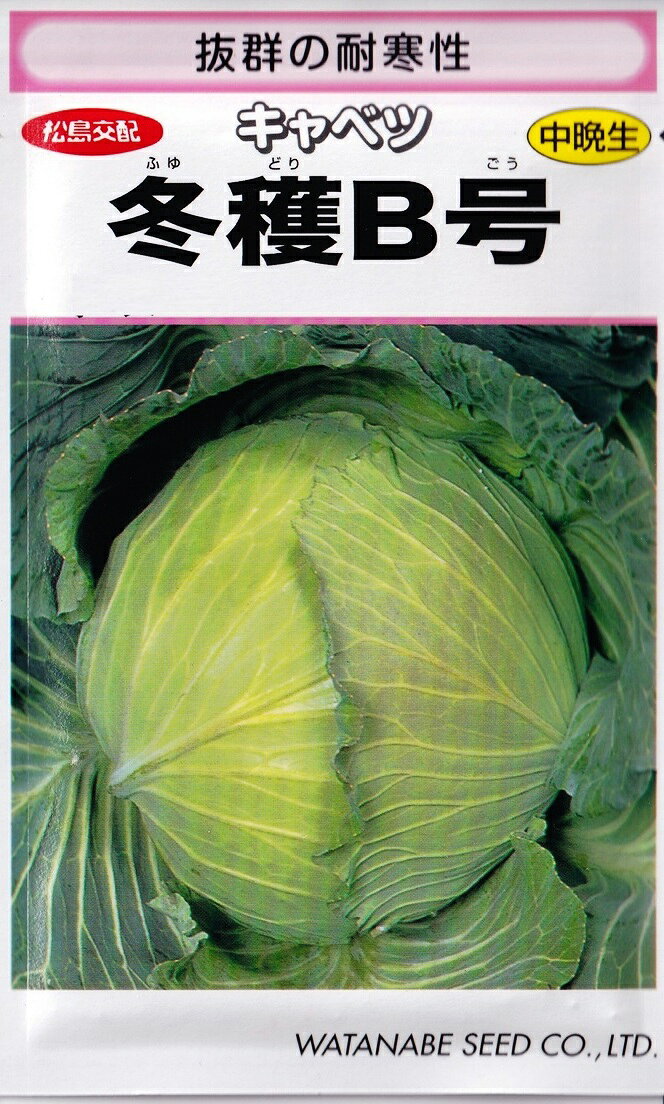 寒冷地の冬どりを可能にした冬どり用キャベツ！冬獲B号 特長 耐寒性に優れ、暖地はもちろん、東北・高冷地の冬どりとして抜群の性能を示します。 東北・高冷地の初夏まき冬どり用、関東以西の夏まき冬どり用として。 ※栽培暦は地方・気候により異なります。 上記月日に頼らず貴地の気候に合わせて栽培してください。 こちらの商品はご注文確認後にお取り寄せになる場合があります。 お取り寄せの場合、商品の発送に1週間程度のお時間をいただきます。 予めご了承の上、ご注文ください。