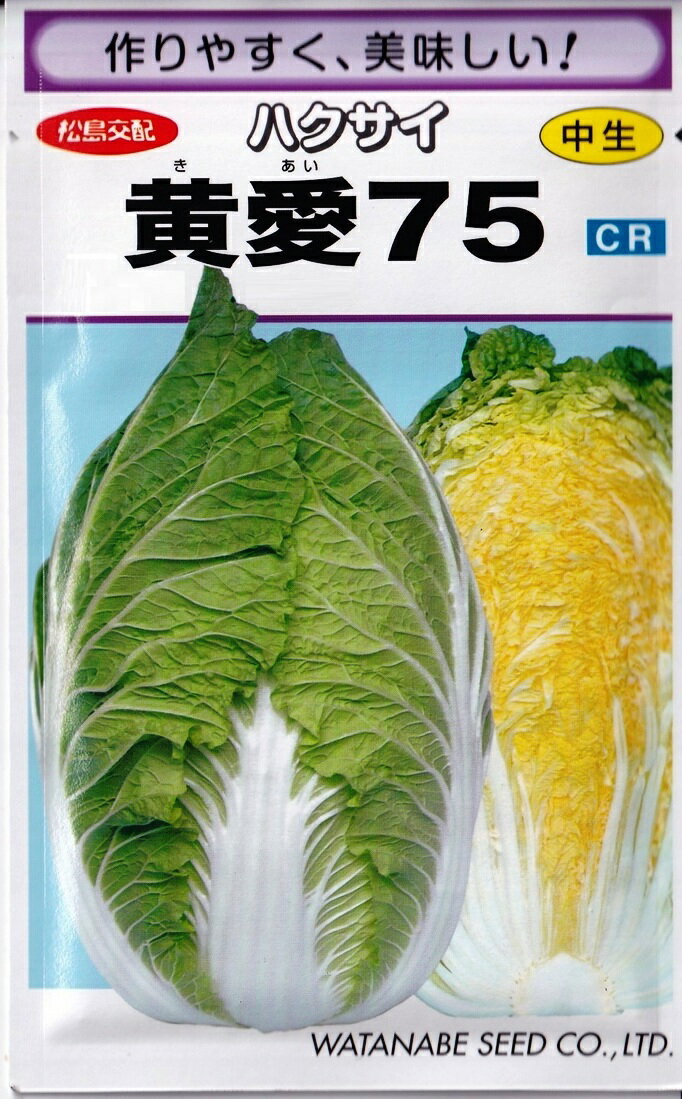 渡辺採種場　ハクサイ　黄愛75 0.9ml 【郵送対応】