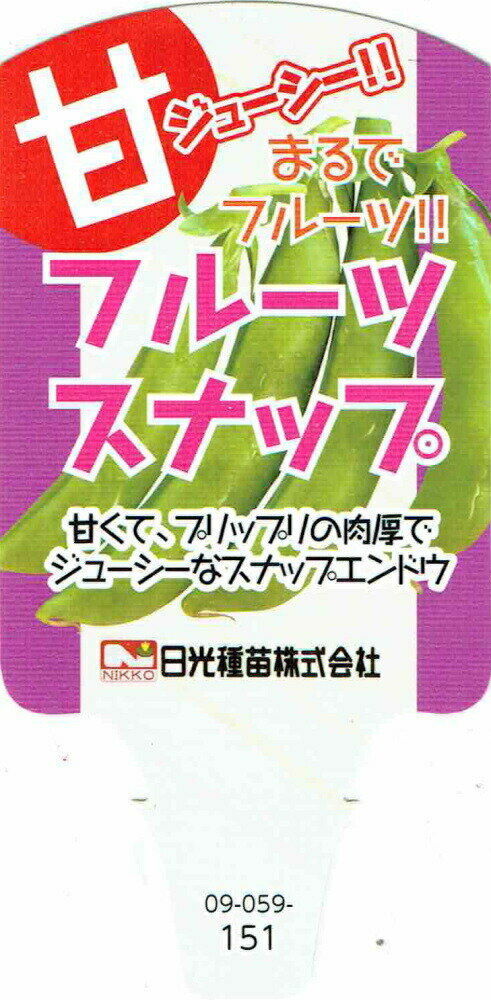 エンドウ「フルーツスナップ」9cmポット苗【白花・つるあり】【販売期間：秋期10月中旬〜11月中旬／春..