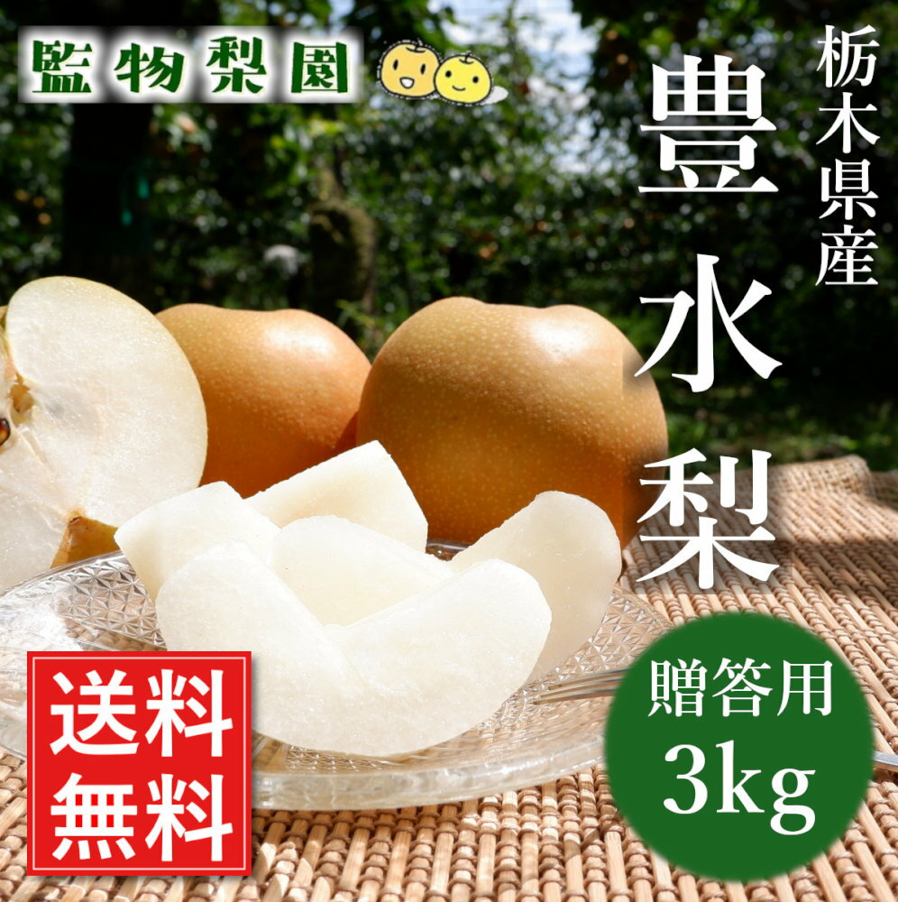 栃木県産「梨 豊水 3kg（6〜7玉）」（2024年 9月1日〜20日頃出荷分）【贈答用 産地直送 送料無料】