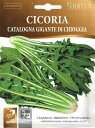 yHORTUSЁz[t`R[ELIbW@Catalogna gigante di Chioggia@10g@[1731][COD.BSOCIC104] yXΉz