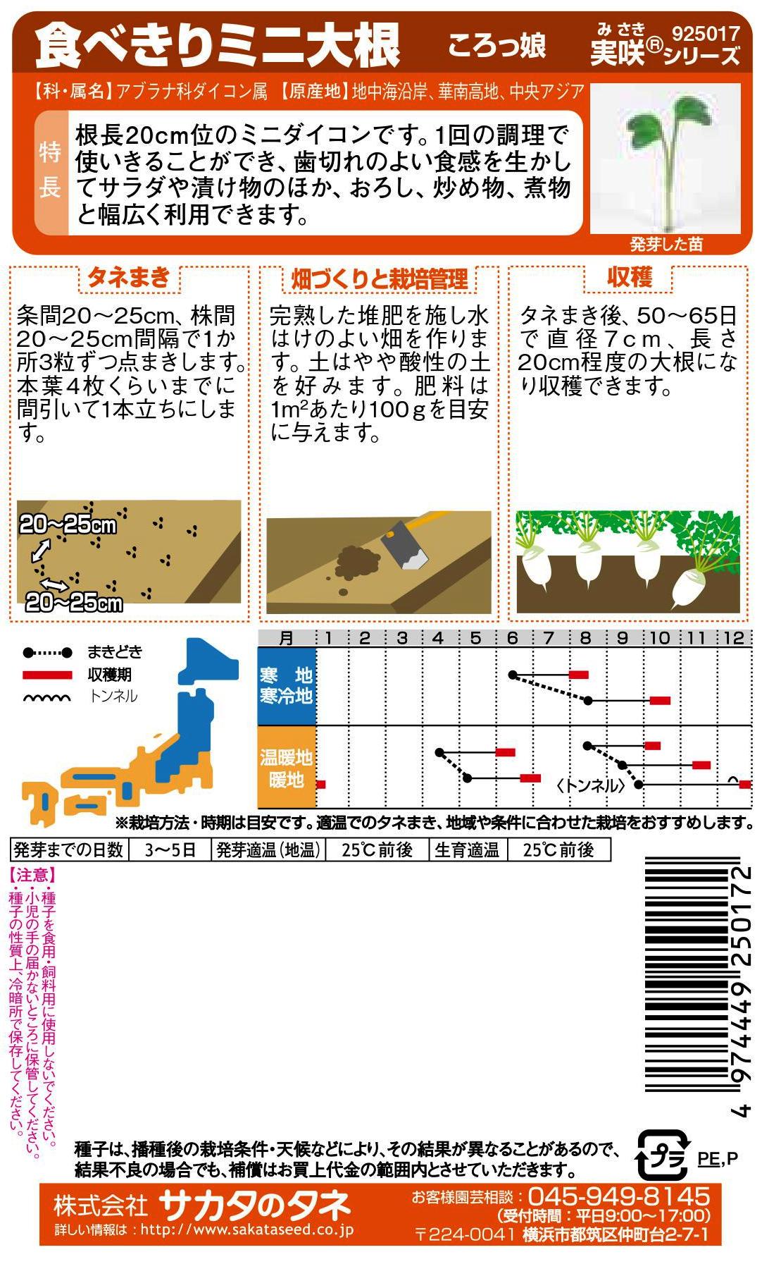 サカタのタネ　ダイコン 食べきりミニ大根　ころっ娘　5ml【郵送対応】
