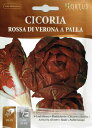 リーフチコリー・ベローナ　パラ　Rossa di Verona a palla　10g　 