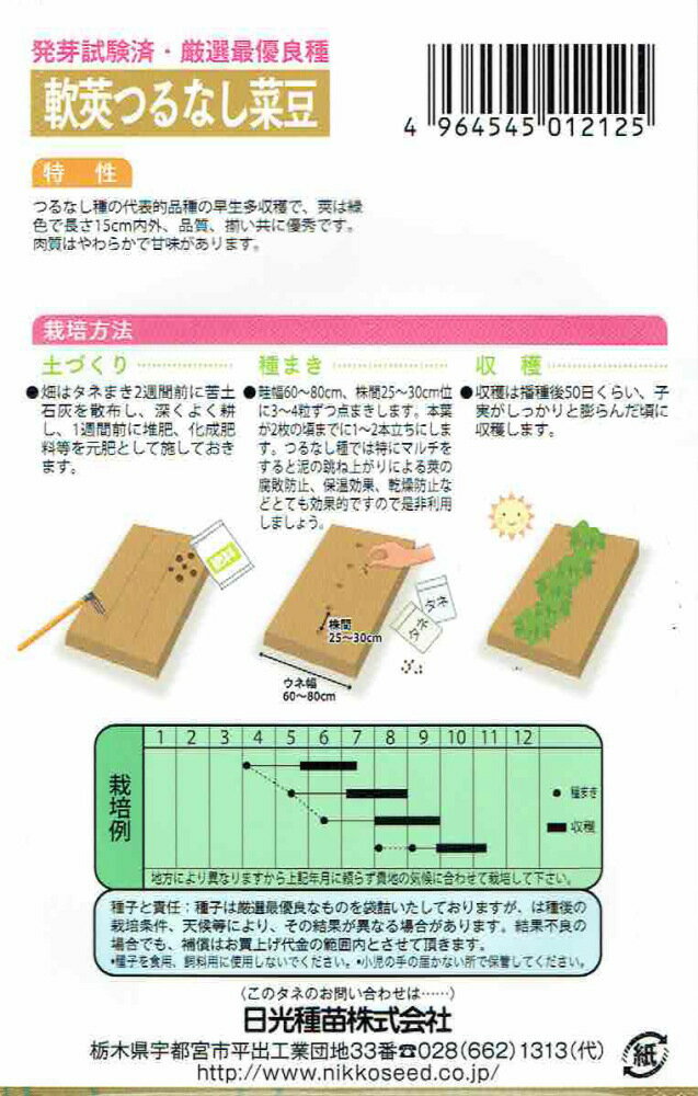 日光種苗　軟莢つるなし菜豆（インゲン豆、ロッキー）のタネ　[内容量：10ml]【1212】【春】