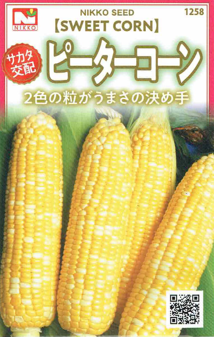 日光種苗　サカタ交配　ピーターコーン（とうもろこし）のタネ　[内容量：10ml]【1258】【春】