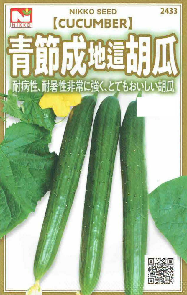 日光種苗　青節成地這きゅうり（胡瓜、キュウリ）のタネ [内容量：3ml]【2433】【春】