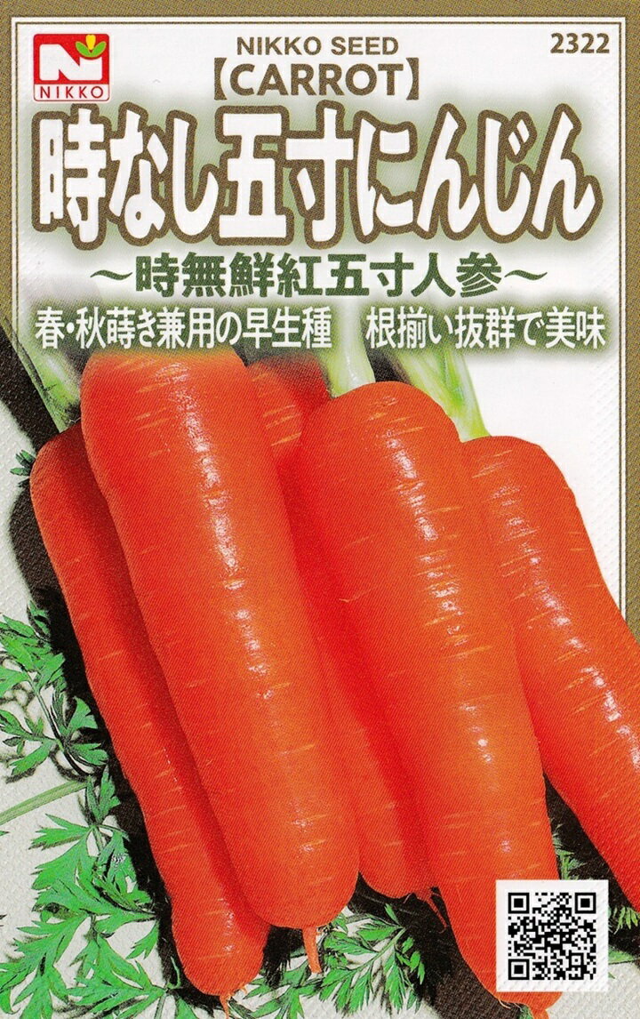 日光種苗　時なし五寸人参（五寸ニンジン・にんじん）のタネ　[内容量：4ml]【2322】
