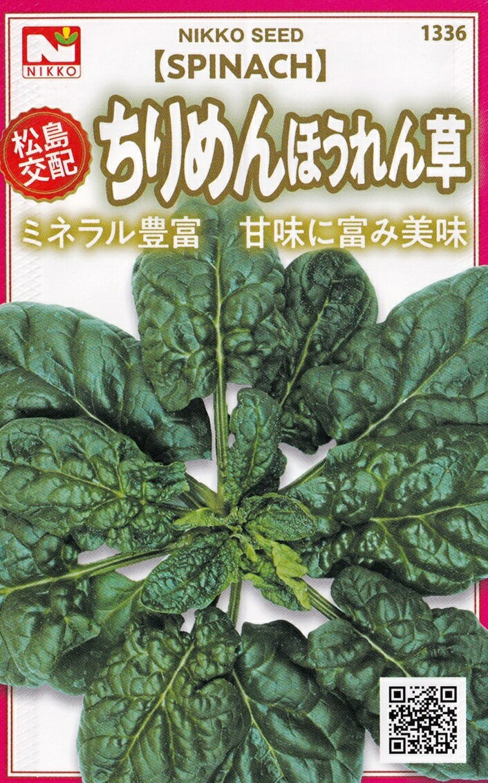 日光種苗　松島交配　ちりめんほうれん草（朝霧）のタネ　[内容量：10ml]　【1336】【秋】（法蓮草、ホ..