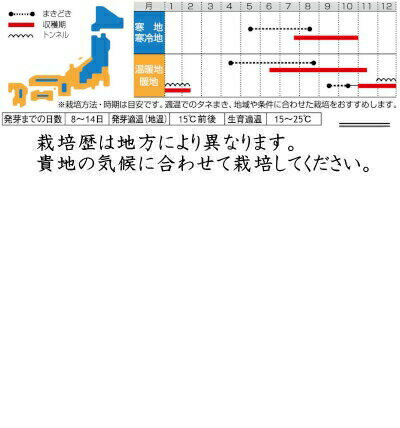 �������Υ��� ���� �ѥ����� ���ꥢ����� 9ml��͹���б���