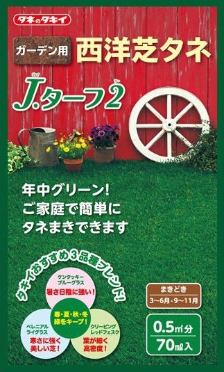 タキイ種苗　西洋芝　Jターフ2　70ml 【郵送対応】