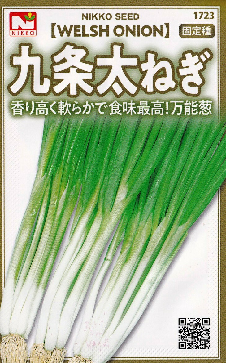 日光種苗　九条太ねぎのタネ　[内容量：5ml]【1723】