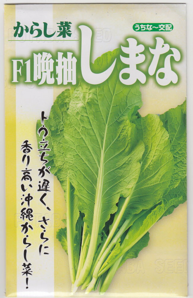 Rakuten - フタバ種苗 からし菜 晩抽しまなのタネ [内容量：5ml]