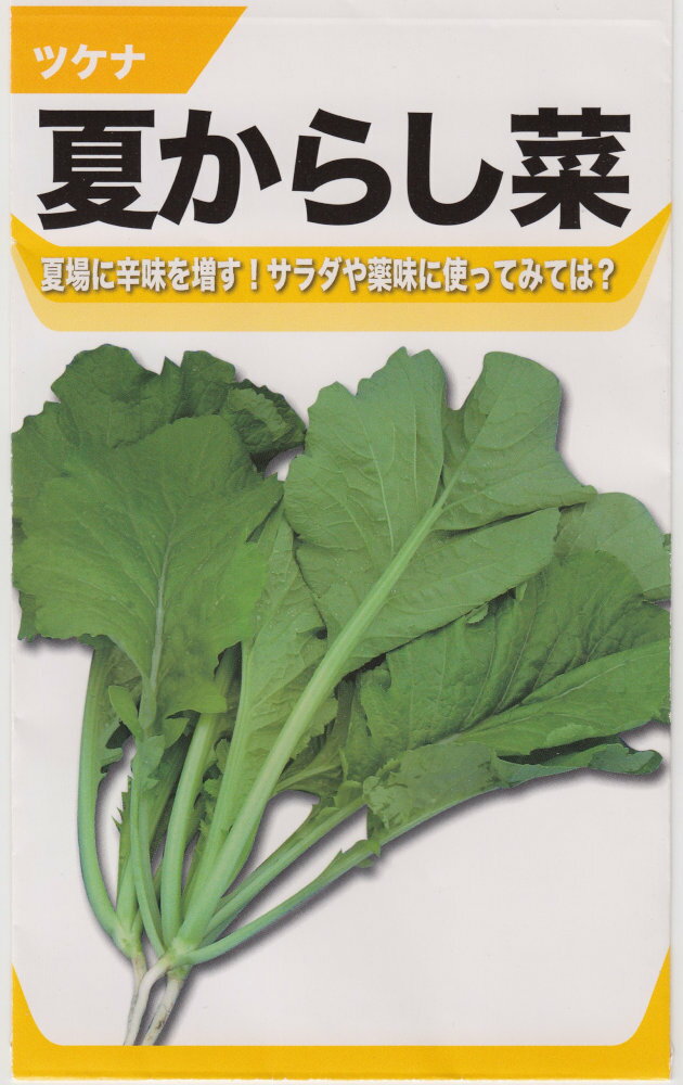 種子, 野菜の種子  4ml