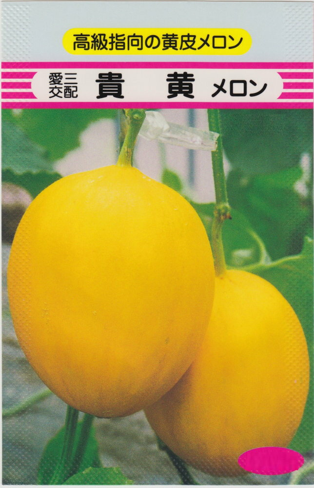 愛三種苗 貴黄メロンのタネ(たかきメロン) 小袋　[約9粒]