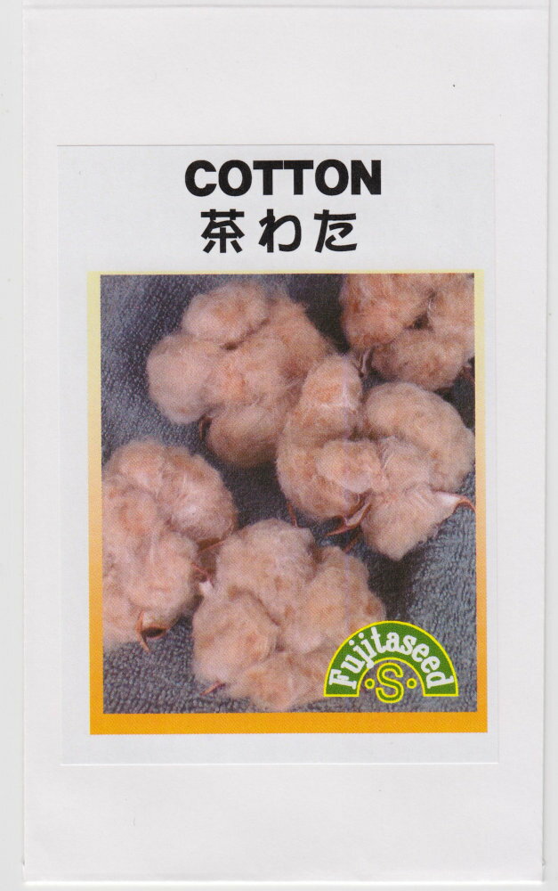 藤田種子 茶わたのタネ[内容量：約13粒]