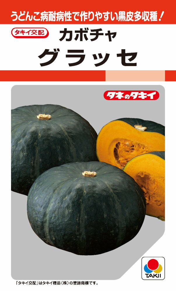製造元：タキイ種苗うどんこ病耐病性で作りやすい黒皮多収種!カボチャ グラッセトンネルの要・不要や定植などの情報は商品パッケージをご確認ください。発芽適温25〜30℃生育適温17〜20℃発芽日数4〜7日株間75cm畝幅250cmうどんこ病耐病性(特許第6306252号)をもち作りやすさが格段に向上。着果と果実の肥大力にもすぐれ多収。肉質は粉質と粘質の中間質。甘みとコクのバランスがよい。タネまき9cmポットに3粒まきし、子葉が完全に展開したころに1本立ちにします。本葉3枚程度の若苗を定植します。定額・その後の管理親づるを摘芯し、子づる2~3本仕立てとします。10節以降に着果させ、着果節より株元の側枝は除去します。収穫開花後45~50日の完熟果を収穫します。ヘタのコルク化が完熟の目安です。カボチャの種子,かぼちゃの種子,南瓜の種子,グラッセの種子,ぐらっせの種子