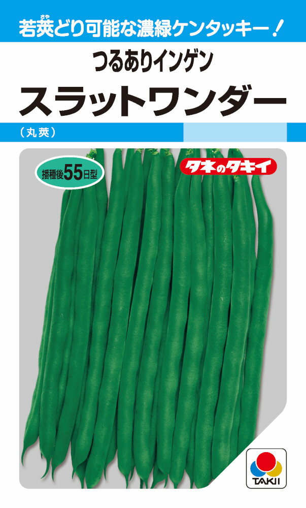 製造元：タキイ種苗若莢どり可能な濃緑ケンタッキー!つるありインゲン スラットワンダートンネルの要・不要や定植などの情報は商品パッケージをご確認ください。丸莢つるあり播種後55日型発芽適温23〜25℃生育適温15〜25℃発芽日数4〜7日株間45cm畝幅200cm長さ20~21cm程度の ケンタッキータイプで、 長さ12cm程度の若どりも可能。莢は濃緑色でツヤがあり、肉質がやわらかく良質。小葉で採光性がよく、栽培容易なつるあり種。タネまき1カ所に3粒をまき、本葉3~4枚までに生育のよいものを1本残して間引きます。その後の管理開花~着莢時期は乾燥させないように注意しましょう。開花時期と収穫開始期に追肥を行います。収穫莢が柔軟で子実が充実しないうちに収穫します。とり遅れると莢の品質が低下するので注意しましょう。インゲンの種子,いんげんの種子,隠元豆の種子,菜豆の種子,スラットワンダーの種子,すらっとわんだーの種子