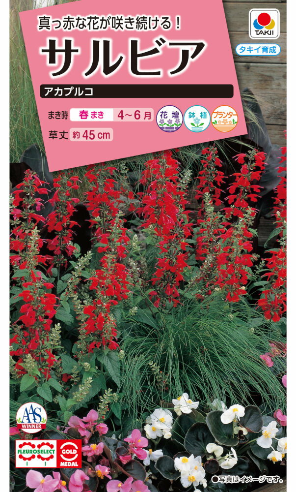 タキイ種苗 サルビア アカプルコのタネ[内容量：0.1ml]