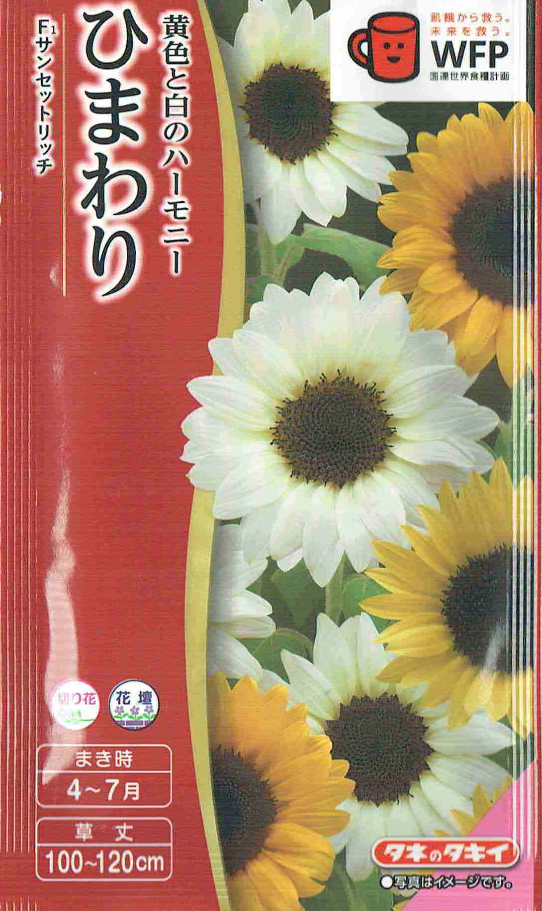 タキイ種苗 ひまわり サンセットリッチのタネ[内容量：2ml]のサムネイル