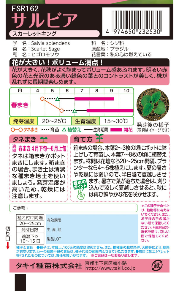 タキイ種苗 サルビア スカーレットキングのタネ[内容量：0.4ml]